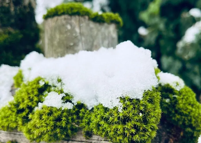 酒店 Am Pfarrhof - Gourmethotel By Harald Irka Sankt Andra-Hoch